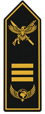 Rangabzeichen Commander – Spezialeinheit