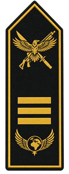 Datei:Rang Spezialeinheit Commander.png