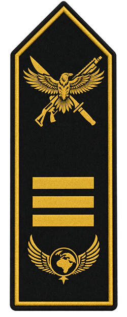 Rang Spezialeinheit Commander.png