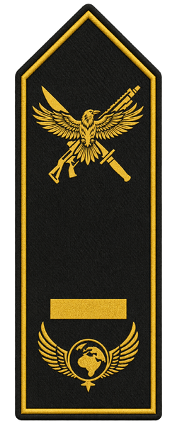 Rang Spezialeinheit Ensign.png