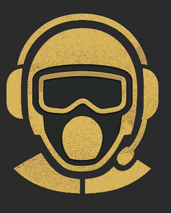 Abzeichen Pilot.png