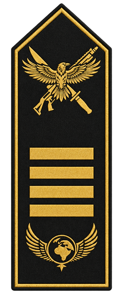 Datei:Rang Spezialeinheit Captain.png