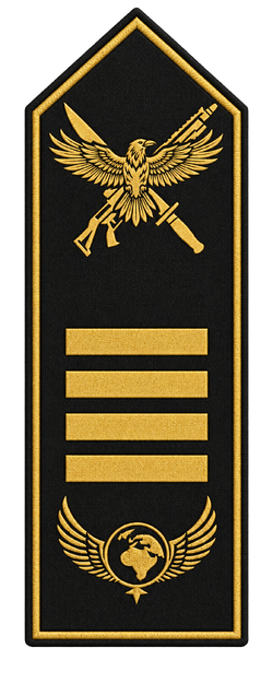 Rang Spezialeinheit Captain.png