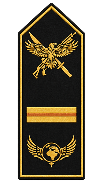 Datei:Rang Spezialeinheit Rear Admiral.png