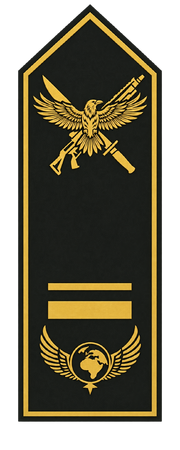 Rangabzeichen Lieutenant Junior Grade – Spezialeinheit