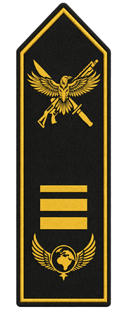 Rangabzeichen Lieutenant Commander – Spezialeinheit