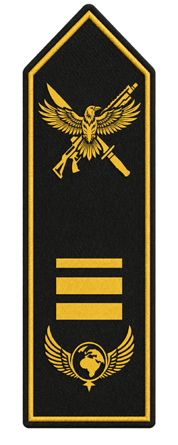 Rang Spezialeinheit Lieutenant Commander.png