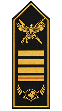 Rang Spezialeinheit Fleet Admiral.png