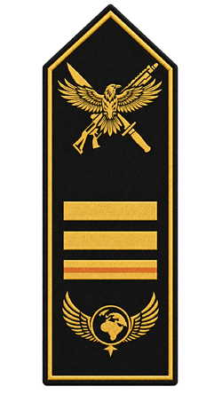 Rang Spezialeinheit Admiral.png