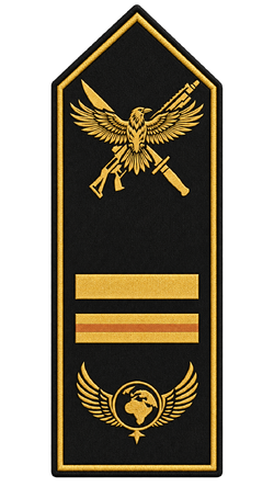 Rang Spezialeinheit Vice Admiral.png