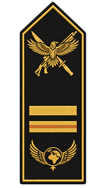 Datei:Rang Spezialeinheit Vice Admiral.png